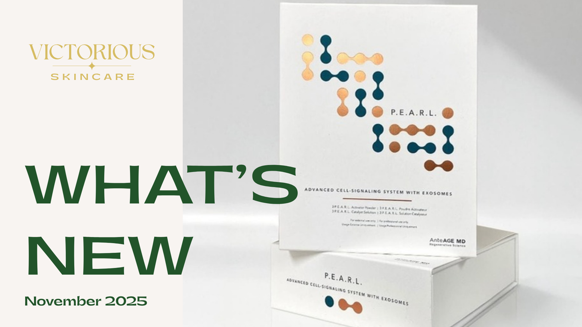 November Newsletter
