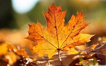 September Newsletter