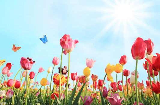 April Newsletter
