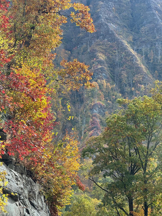 Fall on the Blue Ridge Parkway